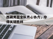 爱游戏体育下载-包含西藏男篮全队齐心协力，夺得关键胜利的词条