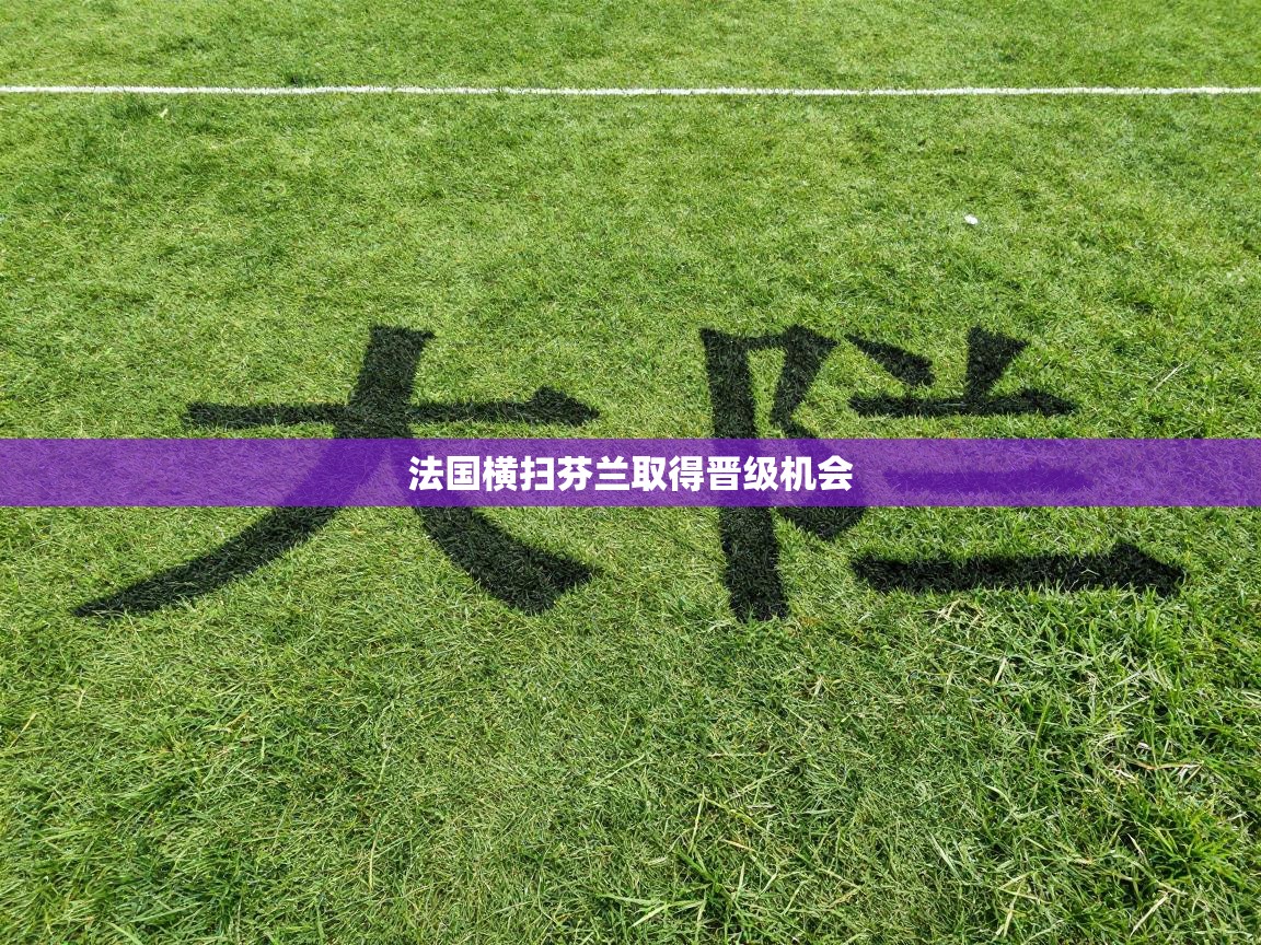 法国横扫芬兰取得晋级机会  第1张