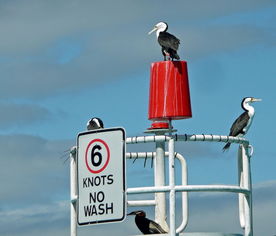 爱游戏官网-澳大利亚队的表现与未来展望：国际乒联混合团体世界杯分析，国际乒联澳大利亚公开赛  第3张